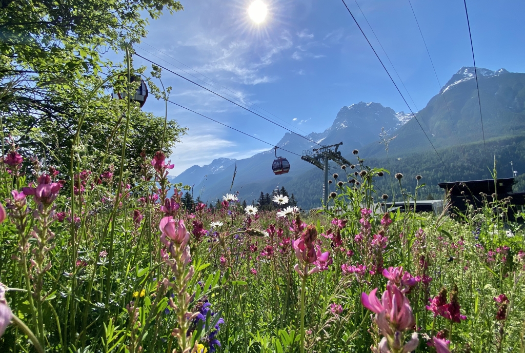Gondel Frühling 2021