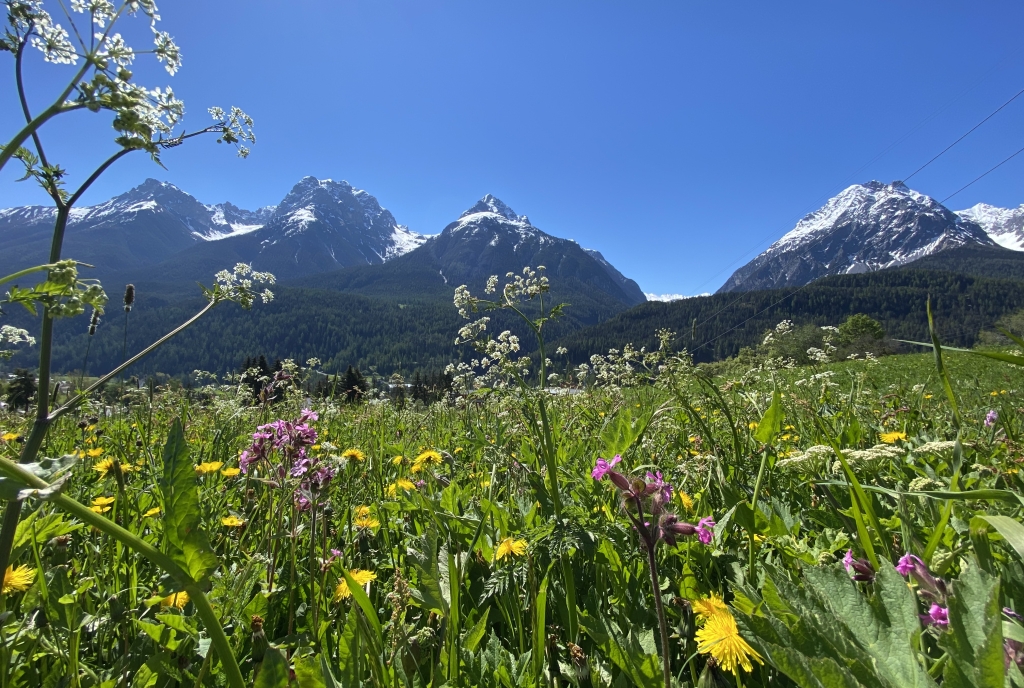 Frühling 2021