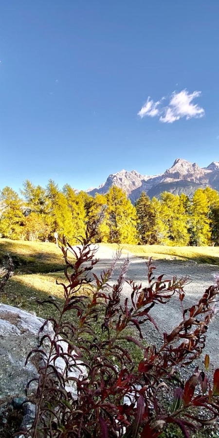 Wandern Herbst
