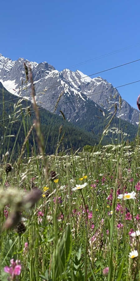 Sommer Gondel