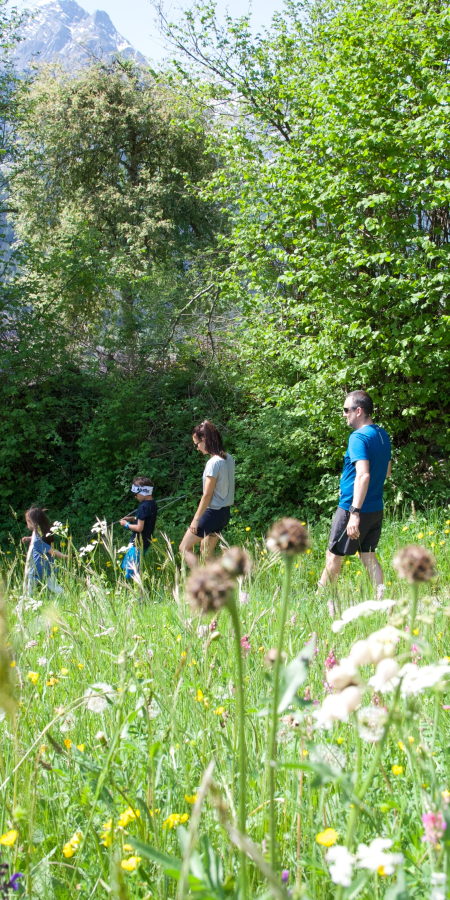 Blumen Wandern