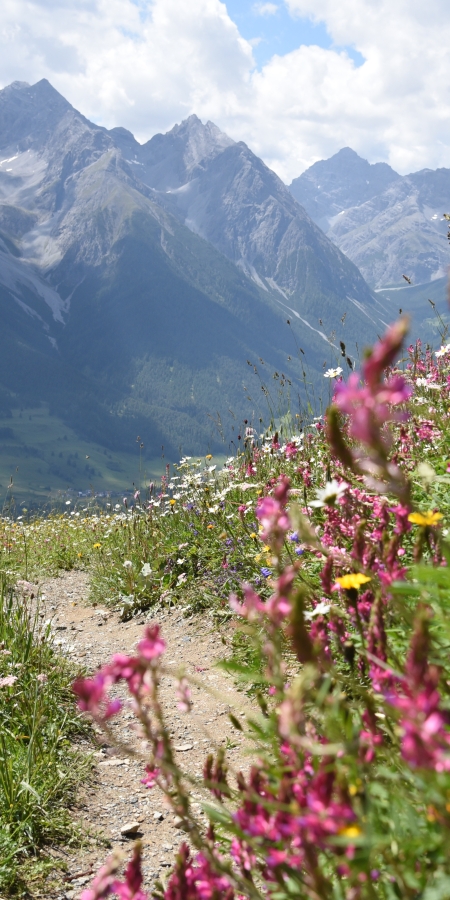 Weg Sommer