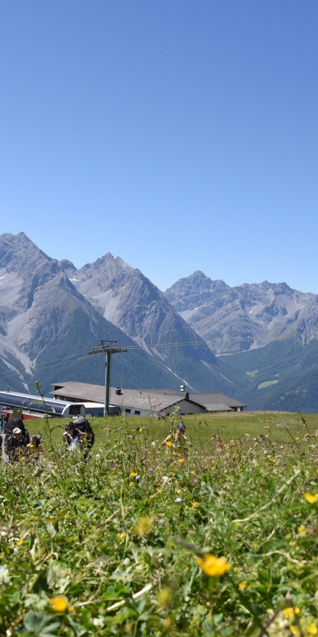 Wandern Sommer