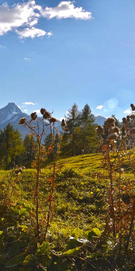 Herbst