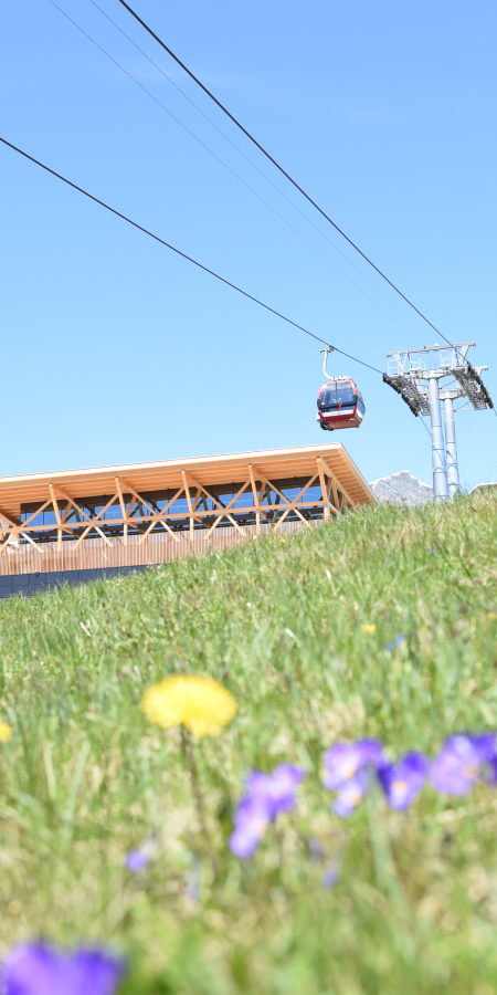 Frühling motta 2025