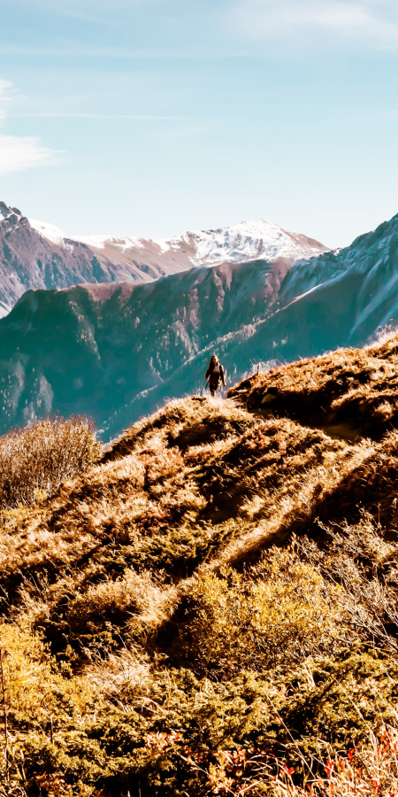 Wandern_goldener_Herbst_Scuol_Motta_Naluns Sommerfrische_Engadin_Scuol