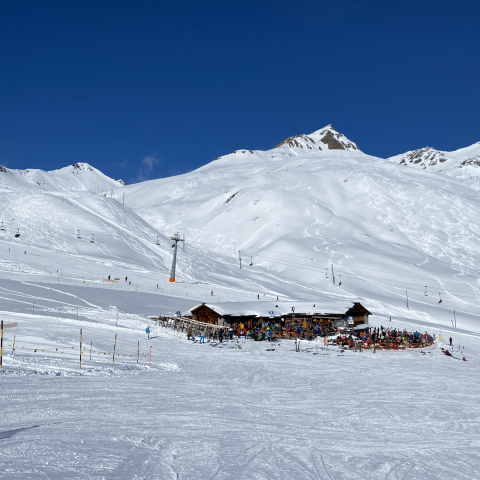 Alpetta
