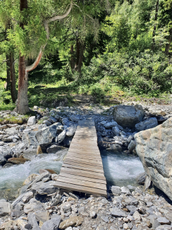Wandern Bach