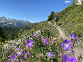 Wandern