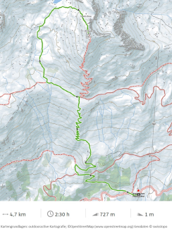 Karte vom Wanderweg 8 bei Scuol, Distanz 4,7 Kilometer, Dauer 2 Stunden 30 Minuten, Aufstieg 727 Meter, Abstieg 1 Meter