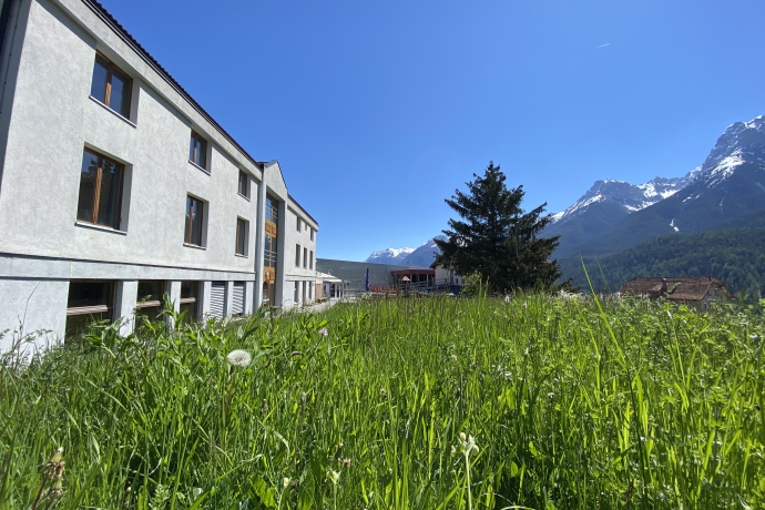 Chasa Alpina Frühling