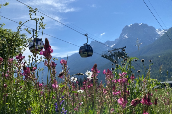 Gondel Frühling 2021