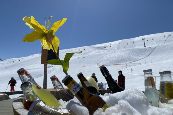 Alpetta