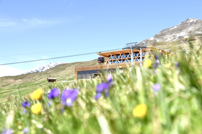 Frühling motta 2025