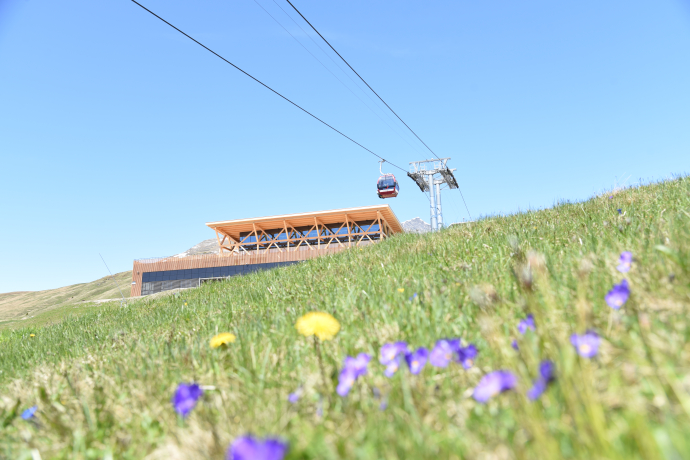 Frühling motta 2025