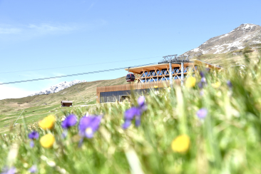 Frühling motta 2025